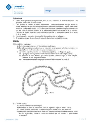 Biologia Model 1 Instruccions 1 De les dues opcions que us proposam triaune una i responeu de manera específica a les qestions formulades a lopció triada 2 Cada qestió es valorar de forma independent i ser qualificada de zero 0 a dos 2 punts Les respostes que no corresponguin a les qestions formulades a lopció triada no es valoraran Una proporció fins a 025 punts de la puntuació de cada pregunta es reservar per als aspectes formals relatius a la presentació global estructuració de la qestió cap…