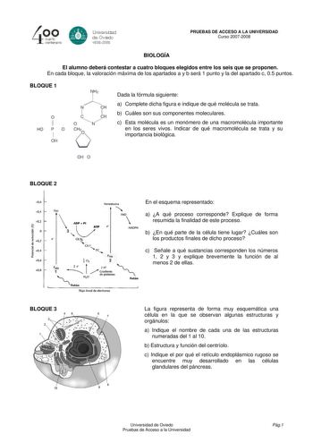 A cuarto 4  V centenero Universdad de Oviooo 16082008 PRUEBAS DE ACCESO A LA UNIVERSIDAD Curso 20072008 BIOLOGÍA El alumno deberá contestar a cuatro bloques elegidos entre los seis que se proponen En cada bloque la valoración máxima de los apartados a y b será 1 punto y la del apartado c 05 puntos BLOQUE 1 o 11 HO p o 1 OH NH2 A N CH 1 11 C CH o  N Dada la fórmula siguiente a Complete dicha figura e indique de qué molécula se trata b Cuáles son sus componentes moleculares c Esta molécula es un …