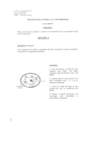 mff  Universidad Pública de Navarra    Nqfarroako 11 Unibertsitate Publikoa PRUEBAS DE ACCESO A LA UNIVERSIDAD Curso 200506 BIOLOGÍA Elija una de las dos opciones y conteste a las cuestiones de los dos bloques de que consta cada opción OPCIÓN A BLOQUE 1 5 puntos En el esquema de la figura se representa de forma resumida un proceso metabólico característico de organismos autótrofos Cuestiones a De qué proceso se trataEn qué orgánulo tiene lugar Cite algún organismo capaz de llevarlo a cabo 125 p…