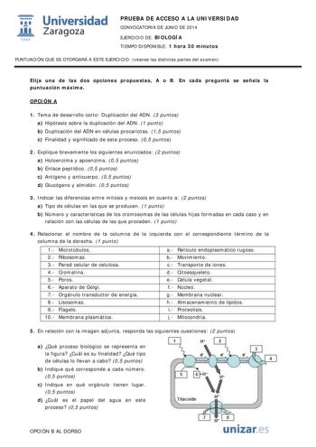 t Universidad fil Zaragoza 1S42 PRUEBA DE ACCESO A LA UNIVERSIDAD CONVOCATORIA DE JUNIO DE 2014 EJERCICIO DE BIOLOGÍA TIEMPO DISPONIBLE 1 hora 30 minutos PUNTUACIÓN QUE SE OTORGARÁ A ESTE EJERCICIO véanse las distintas partes del examen Elija una de las dos opciones propuestas A o B En cada pregunta se señala la puntuación máxima OPCIÓN A 1 Tema de desarrollo corto Duplicación del ADN 3 puntos a Hipótesis sobre la duplicación del ADN 1 punto b Duplicación del ADN en células procariotas 15 punto…