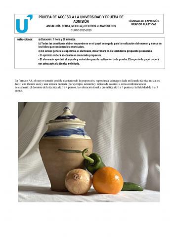 Técnicas de Expresión Gráfico Plástica – PEvAU Andalucía (2026)