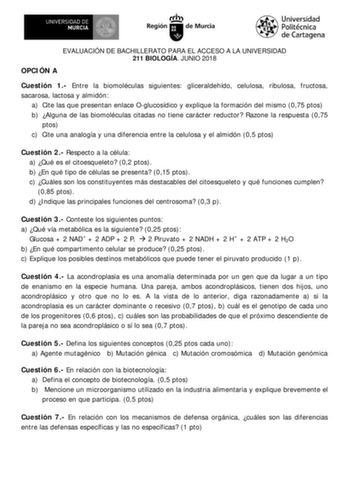 EVALUACIÓN DE BACHILLERATO PARA EL ACCESO A LA UNIVERSIDAD 211 BIOLOGÍA JUNIO 2018 OPCIÓN A Cuestión 1 Entre la biomoléculas siguientes gliceraldehído celulosa ribulosa fructosa sacarosa lactosa y almidón a Cite las que presentan enlace Oglucosídico y explique la formación del mismo 075 ptos b Alguna de las biomoléculas citadas no tiene carácter reductor Razone la respuesta 075 ptos c Cite una analogía y una diferencia entre la celulosa y el almidón 05 ptos Cuestión 2 Respecto a la célula a Qué…