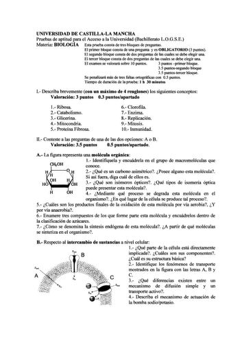 UNIVERSIDAD DE CASTILLALA MANCHA Pruebas de aptitud para el Acceso a la Universidad Bachillerato LOGSE Materia BIOLOGÍA Esta prueba consta de tres bloques de preguntas El primer bloque consta de una pregunta y es OBLIGATORIO 3 puntos El segundo bloque consta de dos preguntas de las cuales se debe elegir una El tercer bloque consta de dos preguntas de las cuales se debe elegir una El examen se valorará sobre 1Opuntos 3 puntos primer bloque 35 puntossegundo bloque 35 puntostercer bloque Se penali…