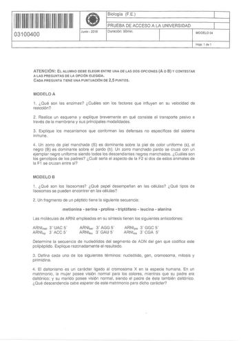 11 1111 1 1 11 11 11 11 11 11 03100400  Junio  2016 Biología FE 1 PRUEBA DE ACCESO A LA UNIVERSIDAD 1 Duración 90min MODELO 04 Hoja 1 de 1 ATENCIÓN EL ALUMNO DEBE ELEGIR ENTRE UNA DE LAS DOS OPCIONES A O 8 Y CONTESTAR A LAS PREGUNTAS DE LA OPCIÓN ELEGIDA CADA PREGUNTA TIENE UNA PUNTUACIÓN DE 25 PUNTOS MODELO A 1 Qué son las enzimas Cuáles son los factores que influyen en su velocidad de reacción 2 Realice un esquema y explique brevemente en qué consiste el transporte pasivo a través de la membr…