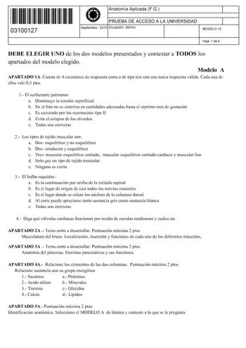 11 1111 1 111 111 11 1 11 11 03100127  Anatomía Aplicada FG PRUEBA DE ACCESO A LA UNIVERSIDAD Septiembre  2015 Duración 90min 1 1 MODELO 15 Hoja 1 de 4 DEBE ELEGIR UNO de los dos modelos presentados y contestar a TODOS los apartados del modelo elegido Modelo A APARTADO lA Consta de 4 cuestiones de respuesta corta o de tipo test con una única respuesta válida Cada una de ellas vale 05 ptos 1 El surfactante pulmonar a Disminuye la tensión superficial b En el feto no se sintetiza en cantidades ade…