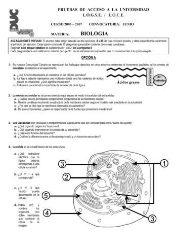 PRUEBAS DE ACCESO A LA UNIVERSIDAD LOGSE  LOCE CURSO 2006  2007 CONVOCATORIA JUNIO MATERIA BIOLOGIA ACLARACIONES PREVIAS El alumno debe elegir una de las dos opciones A o B de que consta la prueba y debe especificarla claramente al principio del ejercicio Cada opción consta de 10 preguntas que podrán contener dos o más cuestiones Elegir un sólo bloque optativo de cuestiones 81 u 82 en la pregunta 8 Cada pregunta tiene una calificación máxima de 1 punto No se valorarán las respuestas que no corr…