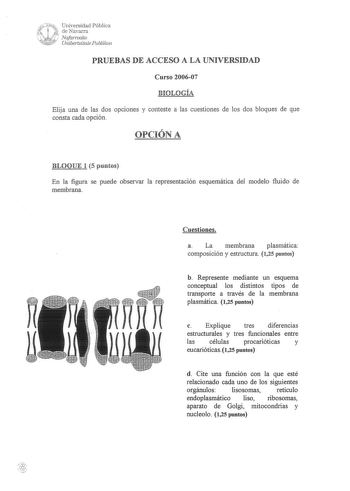 4J t   Universidad Pública de Navarra  NafaTroako o Unibertsitate Publikoa PRUEBAS DE ACCESO A LA UNIVERSIDAD Curso 200607 BIOLOGÍA Elija una de las dos opciones y conteste a las cuestiones de los dos bloques de que consta cada opción OPCiÓNA BLOQUE 1 5 puntos En la figura se puede observar la representación esquemática del modelo fluido de membrana Cuestiones a La membrana plasmática composición y estructura 125 puntos b Represente mediante un esquema conceptual los distintos tipos de transpor…