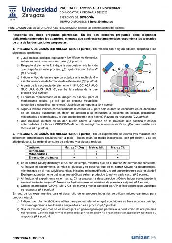 Biología – EvAU Aragón (2026)