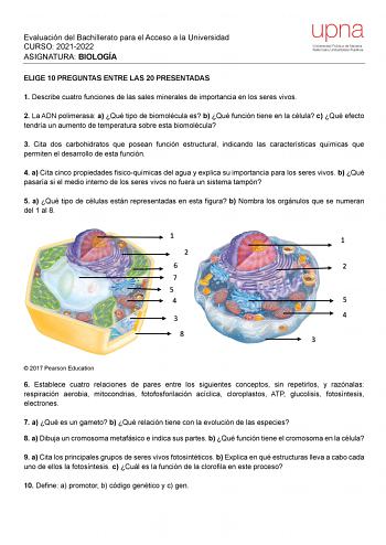 Evaluación del Bachillerato para el Acceso a la Universidad CURSO 20212022 ASIGNATURA BIOLOGÍA upna Universidad Pública de Navarra Nafarroako Unibertsitate Publikoa ELIGE 10 PREGUNTAS ENTRE LAS 20 PRESENTADAS 1 Describe cuatro funciones de las sales minerales de importancia en los seres vivos 2 La ADN polimerasa a Qué tipo de biomolécula es b Qué función tiene en la célula c Qué efecto tendría un aumento de temperatura sobre esta biomolécula 3 Cita dos carbohidratos que posean función estructur…