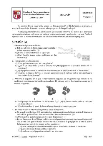 6 Pruebas de Acceso a enseñanzas universitarias oficiales de grado Castilla y León BIOLOGÍA EJERCICIO N páginas 3 El alumno deberá elegir entre una de las dos opciones A o B ofertadas en el anverso y reverso de esta hoja debiendo contestar a las preguntas de la opción elegida Cada pregunta tendrá una calificación que oscilará entre 0 y 10 puntos los apartados serán equipuntuables salvo que se indique su puntuación entre paréntesis La nota final del ejercicio será la media aritmética de las cali…