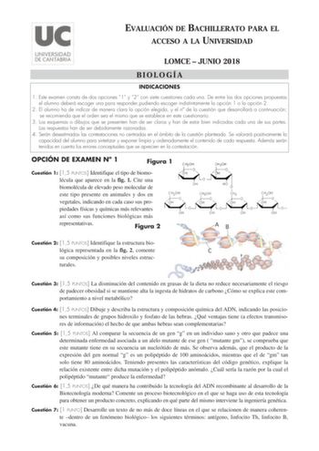 EVALUACIÓN DE BACHILLERATO PARA EL ACCESO A LA UNIVERSIDAD LOMCE  JUNIO 2018 BIOLOGÍA INDICACIONES 1 Este examen consta de dos opciones 1 y 2 con siete cuestiones cada una De entre las dos opciones propuestas el alumno deberá escoger una para responderpudiendo escoger indistintamente la opción 1 o la opción 2 2 El alumno ha de indicar de manera clara la opción elegida y el n de la cuestión que desarrollará a continuación se recomienda que el orden sea el mismo que se establece en este cuestiona…