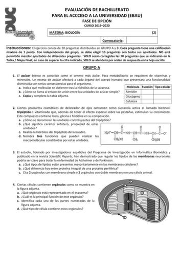 EVALUACIÓN DE BACHILLERATO PARA EL ACCCESO A LA UNIVERSIDAD EBAU FASE DE OPCIÓN CURSO 20192020 MATERIA BIOLOGÍA 2 Convocatoria Instrucciones El ejercicio consta de 20 preguntas distribuidas en GRUPO A y B Cada pregunta tiene una calificación máxima de 1 punto Con independencia del grupo se debe elegir 10 preguntas con todos sus apartados NO está permitido mezclar apartados de diferentes preguntas SOLO serán corregidas las 10 preguntas que se indicarán en la Tabla  Mapa Final en caso de superar …