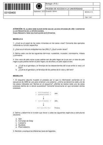 11 1111 1 111 11 11 11 11 11 03100400  Biología FE PRUEBA DE ACCESO A LA UNIVERSIDAD Septiembre  2015 Duración 90min 1 1 MODELO 16 Hoja 1 de 2 ATENCIÓN EL ALUMNO DEBE ELEGIR ENTRE UNA DE LAS DOS OPCIONES A O 8 Y CONTESTAR A LAS PREGUNTAS DE LA OPCIÓN ELEGIDA CADA PREGUNTA TIENE UNA PUNTUACIÓN DE 25 PUNTOS MODELO A 1 Cuál es el papel de las sales minerales en los seres vivos Comente dos ejemplos indicando su función específica 2 Qué es el retículo endoplásmico liso REL Qué función tiene 3 Defina…