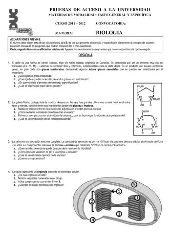 PRUEBAS DE ACCESO A LA UNIVERSIDAD MATERIAS DE MODALIDAD FASES GENERAL Y ESPECÍFICA CURSO 2011  2012 CONVOCATORIA Universitario MATERIA BIOLOGIA ACLARACIONES PREVIAS El alumno debe elegir una de las dos opciones A o B de las que presenta el ejercicio y especificarla claramente al principio del examen La opción consta de 10 preguntas que podrán contener dos o más cuestiones Cada pregunta tiene una calificación máxima de 1 punto No se valorarán las respuestas que no correspondan a la opción elegi…