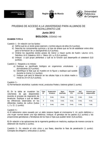 M  UNIVERSIDAD DE MURCIA    I Región de Murcia Universidad Politécnica de Cartagena PRUEBAS DE ACCESO A LA UNIVERSIDAD PARA ALUMNOS DE BACHILLERATO LOE Junio 2012 EXAMEN TIPO A BIOLOGÍA CÓDIGO 140 Cuestión 1 En relación con los lípidos a Defina qué es un ácido graso esencial y nombre alguno de ellos 04 puntos b Describa los componentes químicos y el tipo de enlace que se ha de establecer entre ellos para la formación de un diacilglicérido 04 puntos c Ordene los siguientes ácidos grasos de menor…