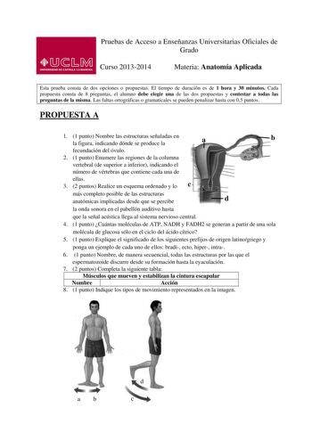 Pruebas de Acceso a Enseñanzas Universitarias Oficiales de Grado Curso 20132014 Materia Anatomía Aplicada Esta prueba consta de dos opciones o propuestas El tiempo de duración es de 1 hora y 30 minutos Cada propuesta consta de 8 preguntas el alumno debe elegir una de las dos propuestas y contestar a todas las preguntas de la misma Las faltas ortográficas o gramaticales se pueden penalizar hasta con 05 puntos PROPUESTA A 1 1 punto Nombre las estructuras señaladas en la figura indicando dónde se …