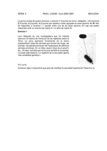 SRIE 4 PAAU LOGSE Curs 20002001 BIOLOGIA La prova consta de quatre exercicis Lexercici 1 3 punts és comú i obligatori i els exercicis 2 3 punts 3 2 punts i 4 2 punts són optatius i estan agrupats en dues opcions A i B Heu de respondre a lexercici 1 i escollir entre una de les dues opcions En cap cas podeu respondre amb un exercici de lopció A i un altre de lopció B Exercici 1 Lynn Margulis és una investigadora que ha intentat rescriure la histria de levolució de les espcies sobre la Terra La se…