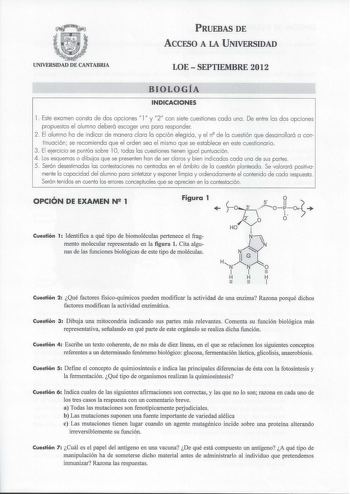 PRUEBAS DE ACCESO A LA UNIVERSIDAD UNIVERSIDAD DE CANTABRIA LOE  SEPTIEMBRE 2012 BIOLOGÍA INDICACIONES l Este exornen consto de dos opciones l y 2 con siete cuestiones codo uno  De entre los dos opciones propuestos el alumno deberá escoger uno poro responder 2 El alumno ha de indicar de manero claro lo opción elegido y el n de lo cuestión que desarrollará o con tinuac ión se recomiendo que e l orden seo e l mismo que se establece en este cuestionario 3 El ejercic io se puntúa sobre l O todas la…