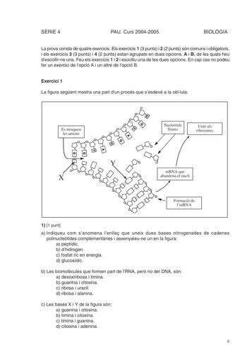 Examen de Biología (selectividad de 2005)