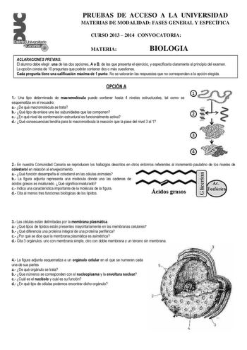 Distnto r  canarias  PRUEBAS DE ACCESO A LA UNIVERSIDAD MATERIAS DE MODALIDAD FASES GENERAL Y ESPECÍFICA CURSO 2013  2014 CONVOCATORIA MATERIA BIOLOGIA ACLARACIONES PREVIAS El alumno debe elegir una de las dos opciones A o B de las que presenta el ejercicio y especificarla claramente al principio del examen La opción consta de 10 preguntas que podrán contener dos o más cuestiones Cada pregunta tiene una calificación máxima de 1 punto No se valorarán las respuestas que no correspondan a la opció…