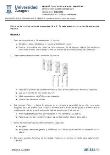  Universidad fil Zaragoza 1542 PRUEBA DE ACCESO A LA UNIVERSIDAD CONVOCATORIA DE SEPTIEMBRE DE 2013 EJERCICIO DE BIOLOGÍA TIEMPO DISPONIBLE 1 hora 30 minutos PUNTUACIÓN QUE SE OTORGARÁ A ESTE EJERCICIO véanse las distintas partes del examen Elija una de las dos opciones propuestas A o B En cada pregunta se señala la puntuación máxima OPCIÓN A 1 Tema de desarrollo corto Fermentaciones 3 puntos a Concepto tipos de células que la realizan y localización celular b Explicar brevemente dos tipos de f…