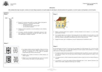 Examen de Biología (PAU de 2016)