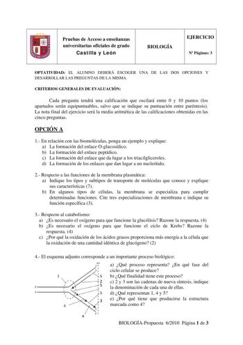 Pruebas de Acceso a enseñanzas universitarias oficiales de grado Castilla y León BIOLOGÍA EJERCICIO N Páginas 3 OPTATIVIDAD EL ALUMNO DEBERÁ ESCOGER UNA DE LAS DOS OPCIONES Y DESARROLLAR LAS PREGUNTAS DE LA MISMA CRITERIOS GENERALES DE EVALUACIÓN Cada pregunta tendrá una calificación que oscilará entre 0 y 10 puntos los apartados serán equipuntuables salvo que se indique su puntuación entre paréntesis La nota final del ejercicio será la media aritmética de las calificaciones obtenidas en las ci…