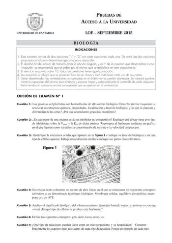 PRUEBAS DE ACCESO A LA UNIVERSIDAD UNIVERSIDAD DE CANTABRIA LOE  SEPTIEMBRE 2015 BIOLOGÍA INDICACIONES 1 Este examen consta de dos opciones 1 y 2 con siete cuestiones cada una De entre las dos opciones propuestas el alumno deberá escoger una para responder 2 El alumno ha de indicar de manera clara la opción elegida y el n de la cuestión que desarrollará a continuación se recomienda que el orden sea el mismo que se establece en este cuestionario 3 El ejercicio se puntúa sobre 10 todas las cuesti…