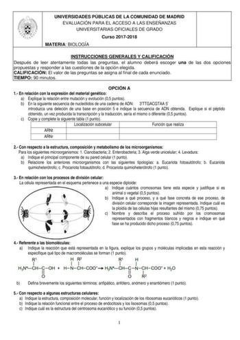 UNIVERSIDADES PÚBLICAS DE LA COMUNIDAD DE MADRID EVALUACIÓN PARA EL ACCESO A LAS ENSEÑANZAS UNIVERSITARIAS OFICIALES DE GRADO Curso 20172018 MATERIA BIOLOGÍA INSTRUCCIONES GENERALES Y CALIFICACIÓN Después de leer atentamente todas las preguntas el alumno deberá escoger una de las dos opciones propuestas y responder a las cuestiones de la opción elegida CALIFICACIÓN El valor de las preguntas se asigna al final de cada enunciado TIEMPO 90 minutos OPCIÓN A 1 En relación con la expresión del materi…