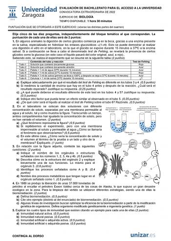 EVALUACIÓN DE BACHILLERATO PARA EL ACCESO A LA UNIVERSIDAD CONVOCATORIA EXTRAORDINARIA DE 2022 EJERCICIO DE BIOLOGÍA TIEMPO DISPONIBLE 1 hora 30 minutos PUNTUACIÓN QUE SE OTORGARÁ A ESTE EJERCICIO véanse las distintas partes del examen Elija cinco de las diez preguntas independientemente del bloque temático al que correspondan La puntuación de cada una de ellas será de 2 puntos 1 En algunos animales la digestión de ciertos glúcidos comienza ya en la boca gracias a una enzima presente en la sali…