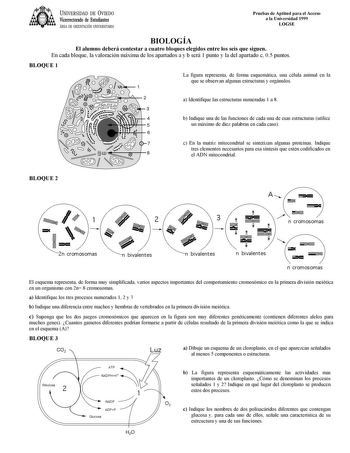 Examen de Biología (selectividad de 1999)